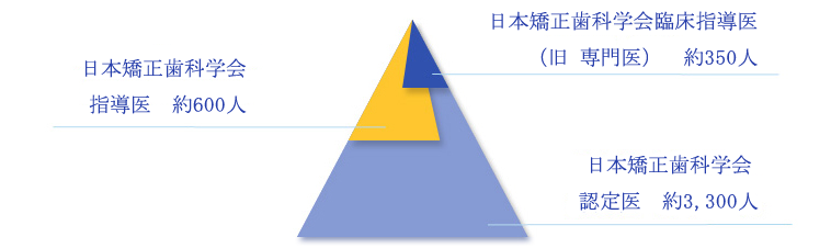 日本矯正歯科学会